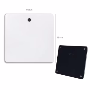 Audio Playing Fridge Magnet